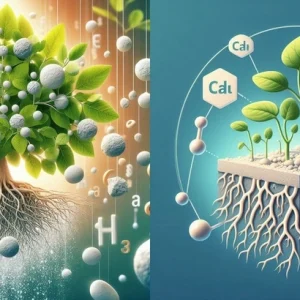 Cât solar calciu se pune la 10 litri de apă?