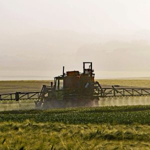 Grădinăritul fără pesticide: metode naturale de combatere a dăunătorilor