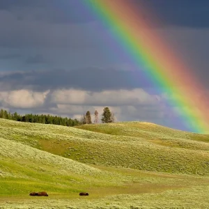Fenomenul curcubeului: Explicația științifică a acestui spectacol natural