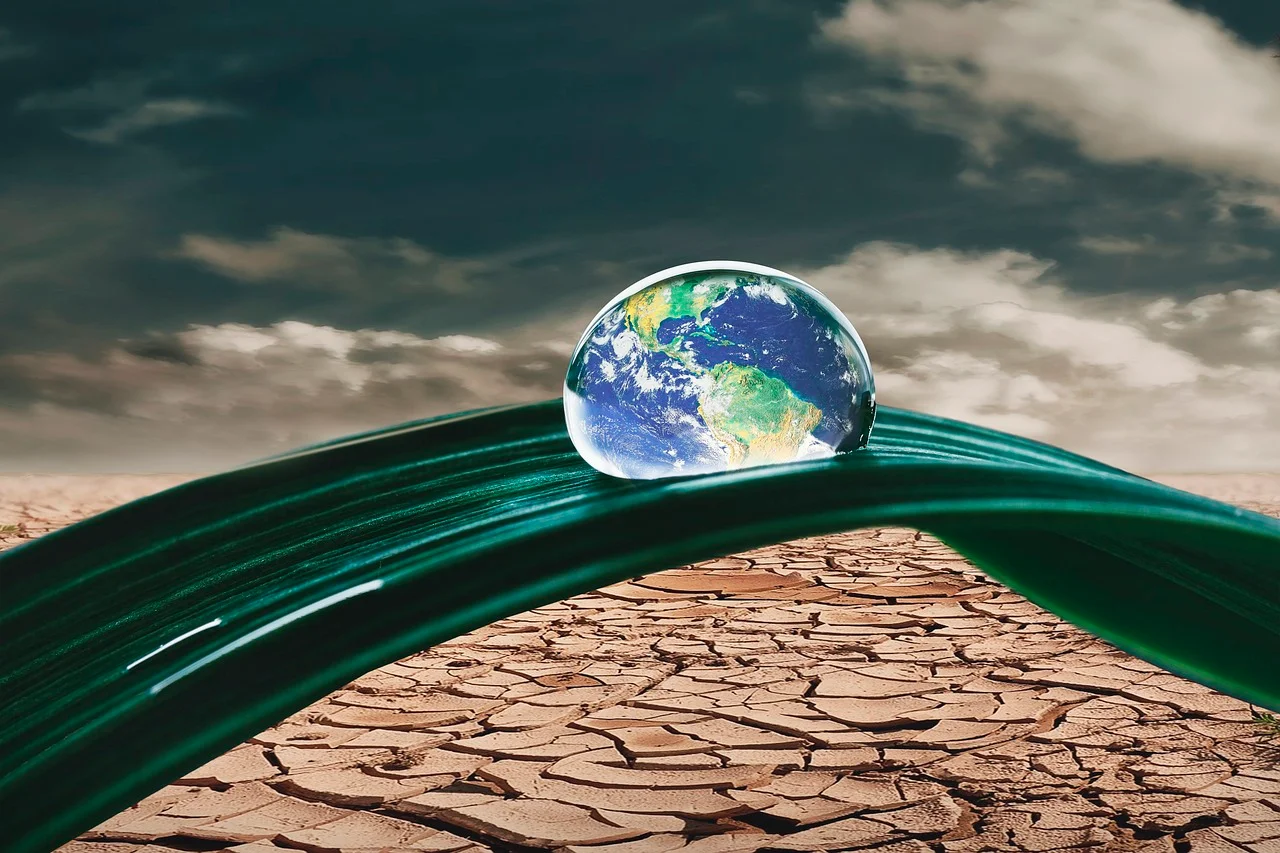 Protejează planeta zilnic: Schimbări mici care fac o diferență mare