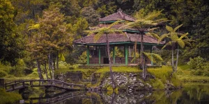 Fenomenul déjà vu: ce explică știința și ce rămâne mister