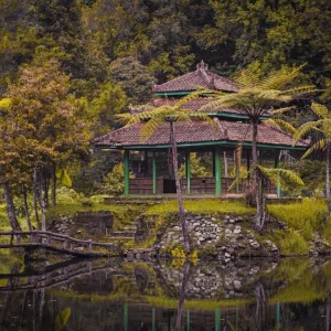 Fenomenul déjà vu: ce explică știința și ce rămâne mister